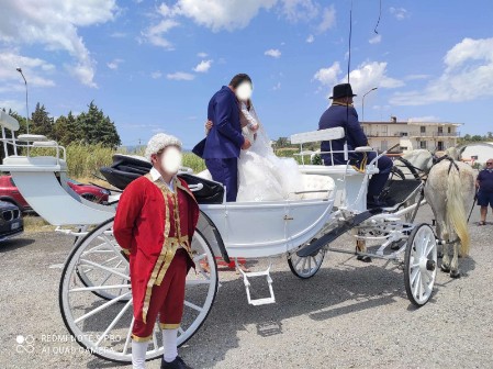 carrozza matrimonio Calabria