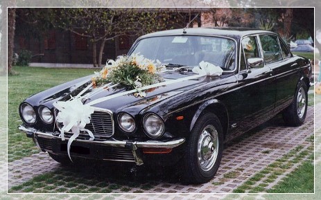 Jaguar xj   matrimoni udine