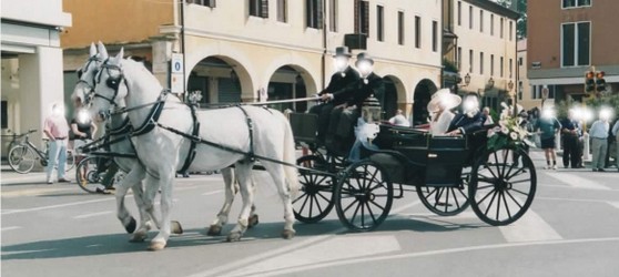 carrozza-matrimonio-a-venezia.jpg